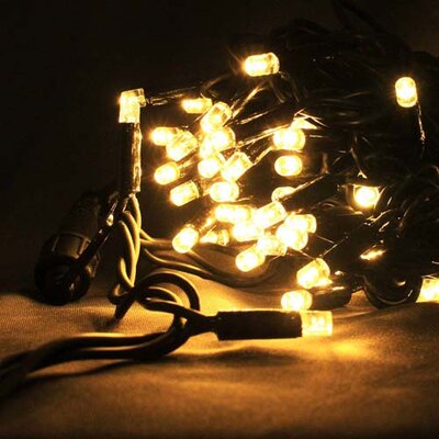 100 LEDs Connectable String Lights Warm White with Controller 