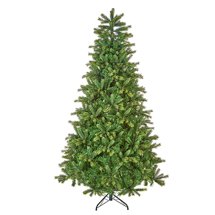 2.1m Barneswood Spruce Tree